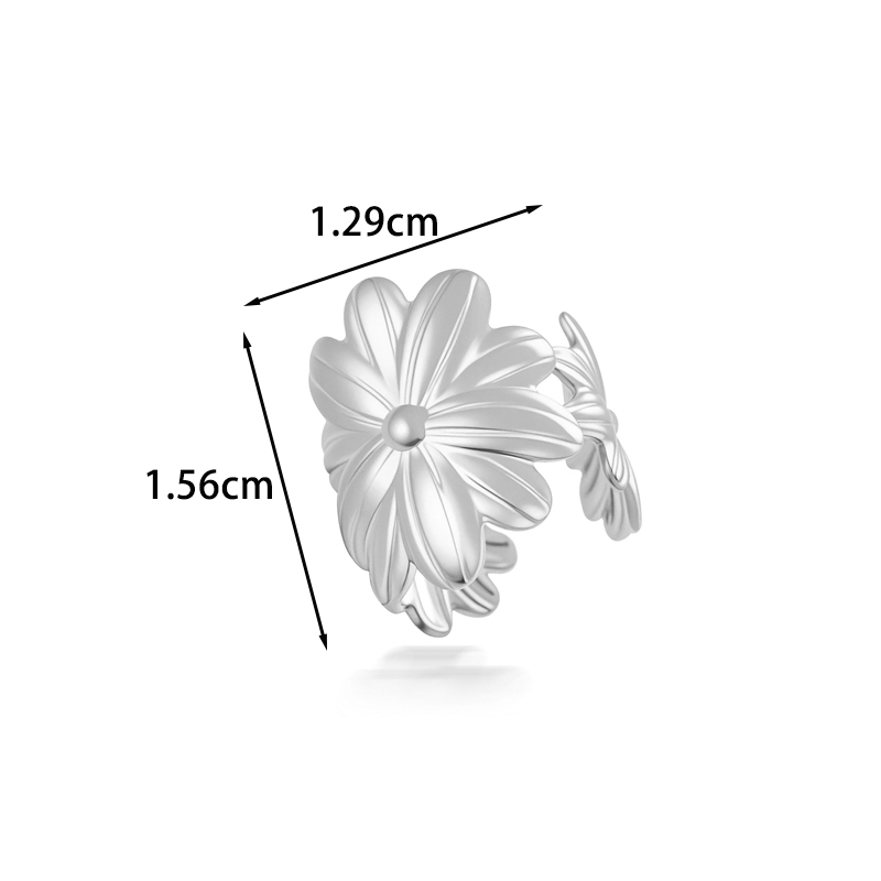 Argent-2676-5
