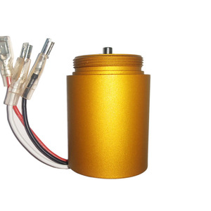 Wholesale BL3140 24V Explosion-Proof BLDC Brushless <strong>Motor</strong> for Power Tools and Garden Use