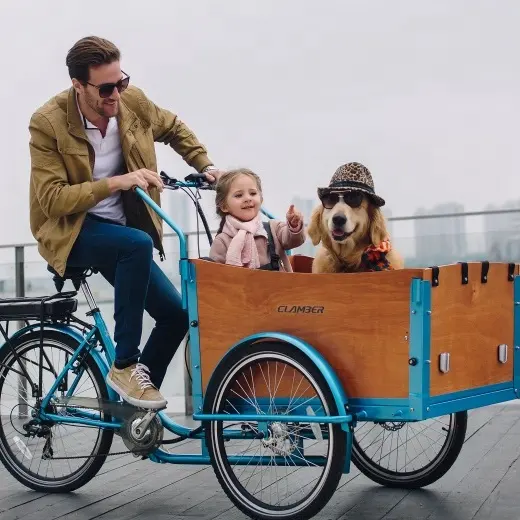 Bicicleta de carga eléctrica de tres ruedas para discapacitados, 6 velocidades, asistencia eléctrica, UB 9032E