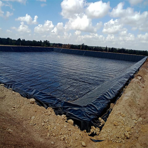 Açık depolama sızıntı önleme işleri için 1.25mm HDPE 80 Mil su geçirmez geomembran geçirimsiz astar - Product Image 3