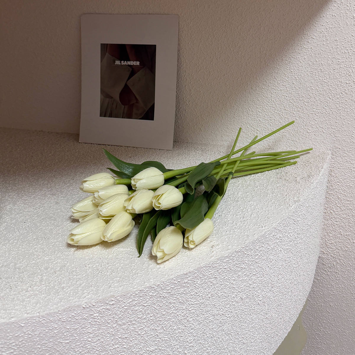 Tulipe en plastique PE - blanc