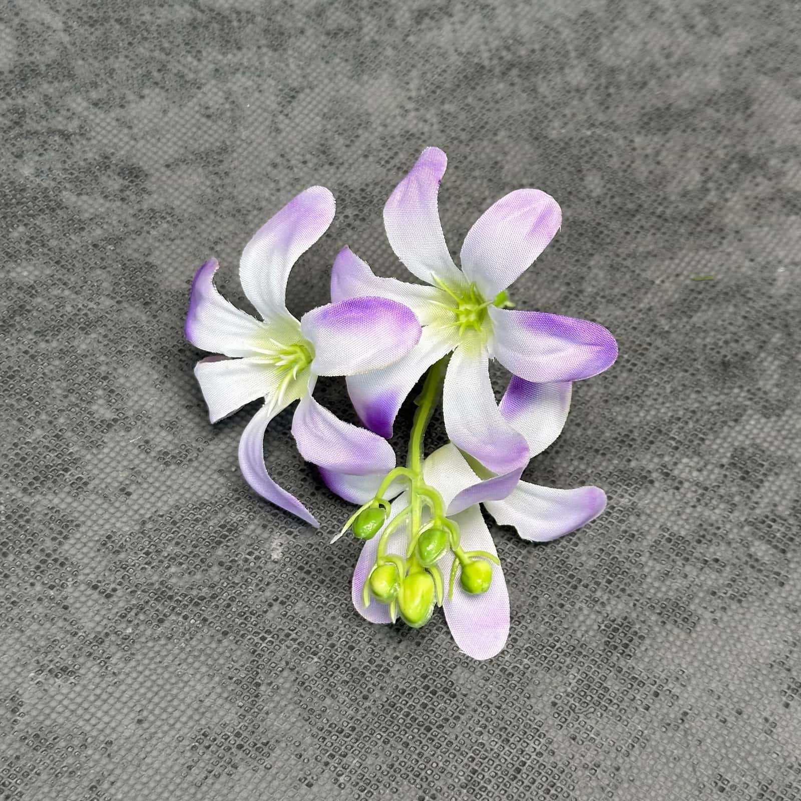 Cabeza de flor de orquídea - violeta