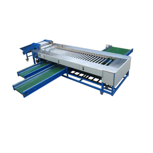 Línea automática de clasificación de tamaño de patata, máquina clasificadora de patatas dulces y cebollas - Product Image 2