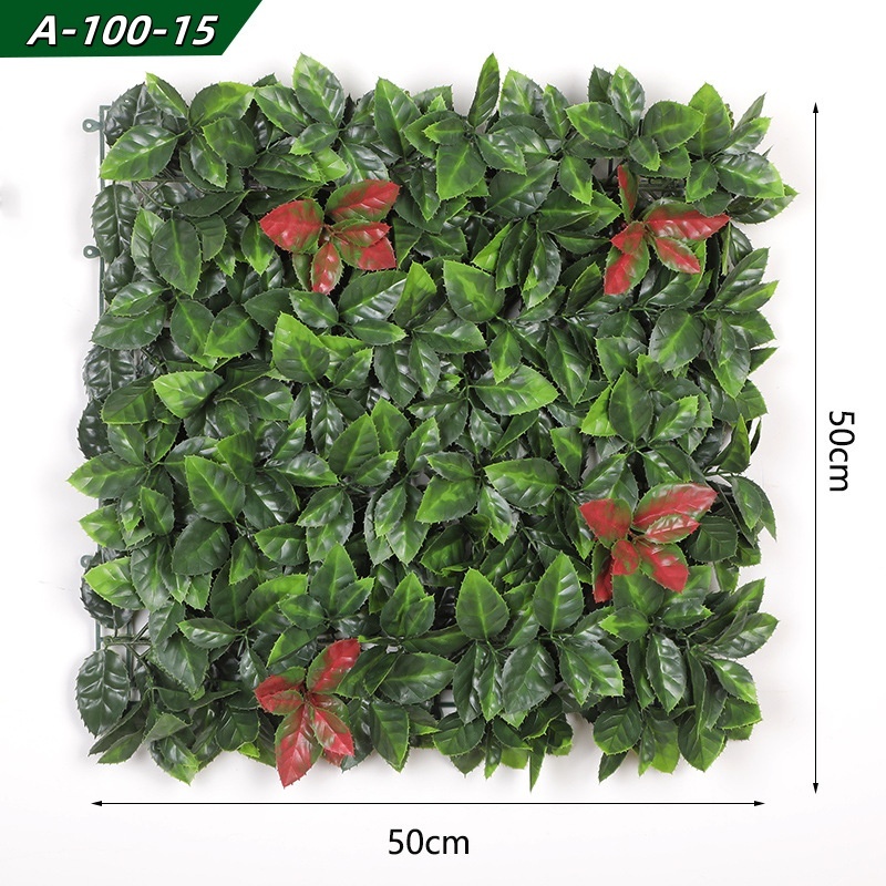 photiniae folia-green