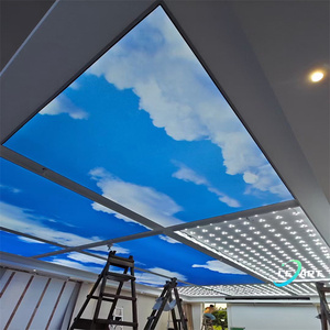LeArt Roof 60x60ポップアートドロップランブリスPvc Plafond 3D透明偽天井パネルコーヒーショップ用