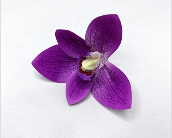 Pourpre