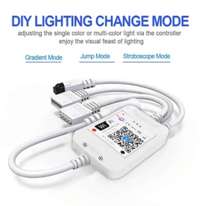LED ışık şerit için kullanılan fabrika doğrudan satış WIFI RGB ses kontrollü kontrolör D (kızılötesi 24 anahtar) yüksek satış - Product Image 2