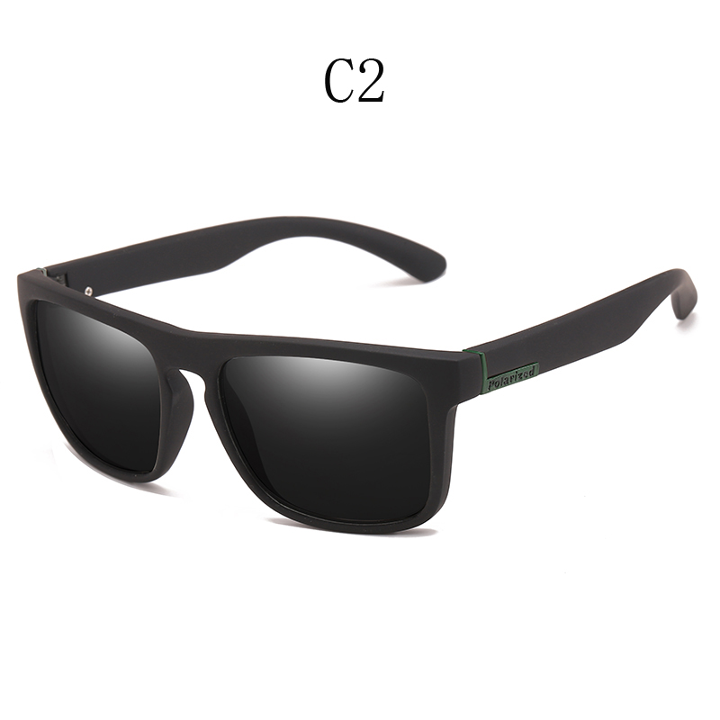 Lumière WHP31-C2-polarized