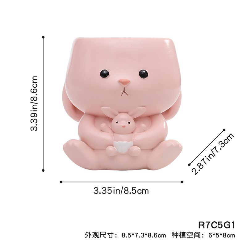 Rosa R7C5G1