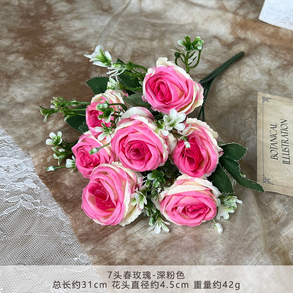 Rosa primaverile testa di Rly-7-rosa intenso