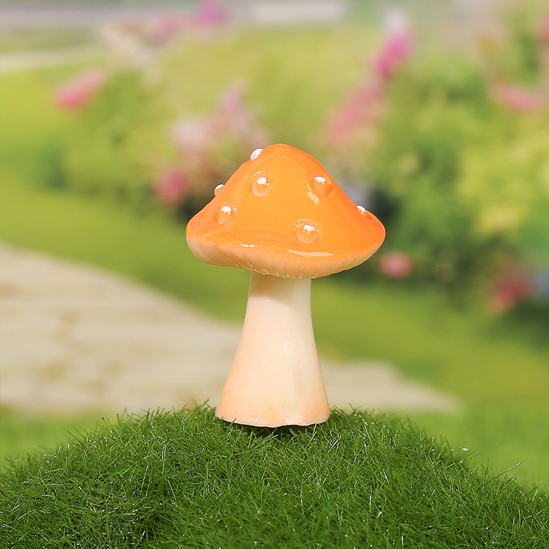 Big White Spot Mushroom
