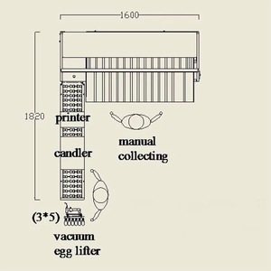 Eier sortiermaschine Kommerzielle Eier waschmaschine mit Grader Egg Grading Coding Machine - Product Image 4
