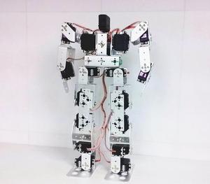 Humanoid Dance Robot Bipedal Race Walking Roboter Lehrset mit Servomotor