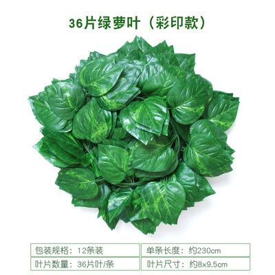 Lot de 36 feuilles de pothos vertes imprimées en couleur - 12 tiges
