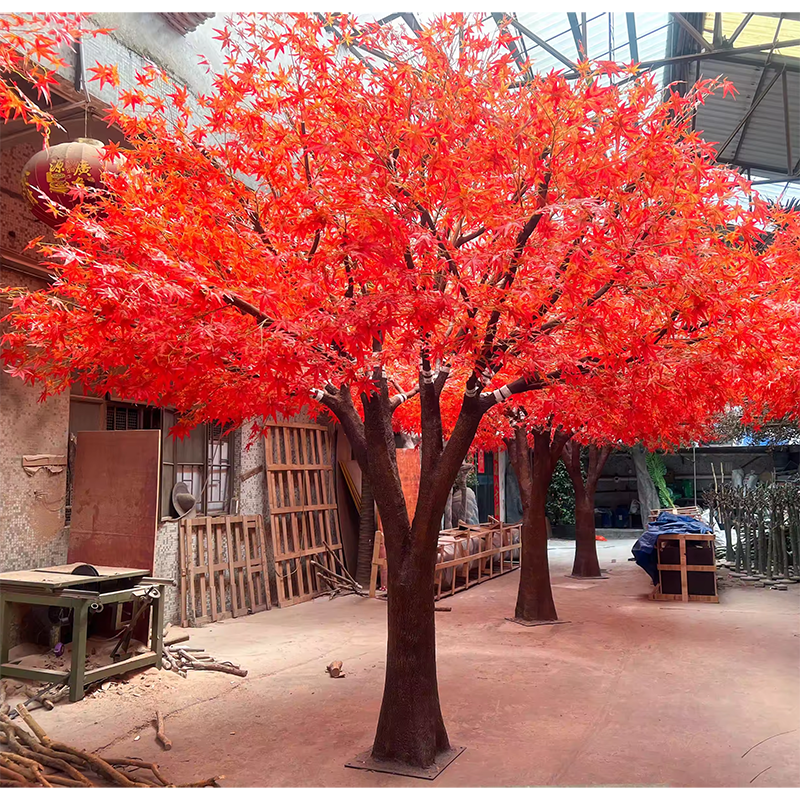 maple tree