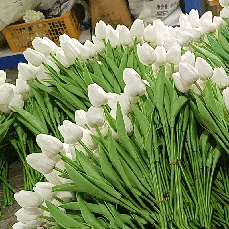Blanc laiteux