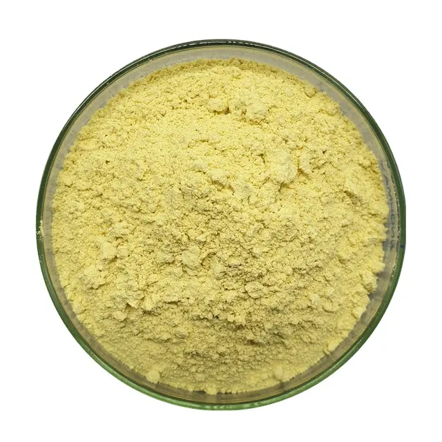 Supply Plant Scutellaria Baicalensis Extract Wogonin 98% Cas 632-85-9