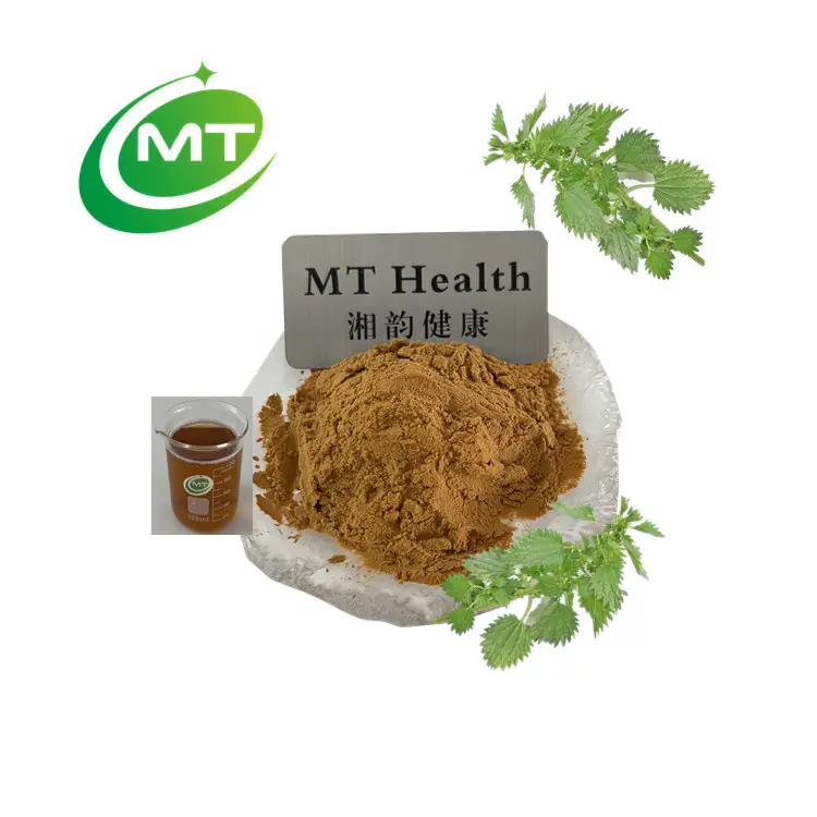 Kualitas tinggi gratis sampel Ekstrak organik jelatang herba 10:1 Urtica dioica ekstrak bau Nettle herb ekstrak bubuk massal