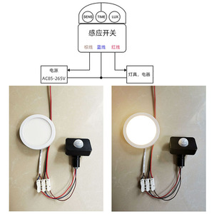 Sensor de movimiento infrarrojo automático AC 110V 220V PIR interruptor de movimiento Detector lámpara luz temporizador Sensor interruptor - Product Image 6