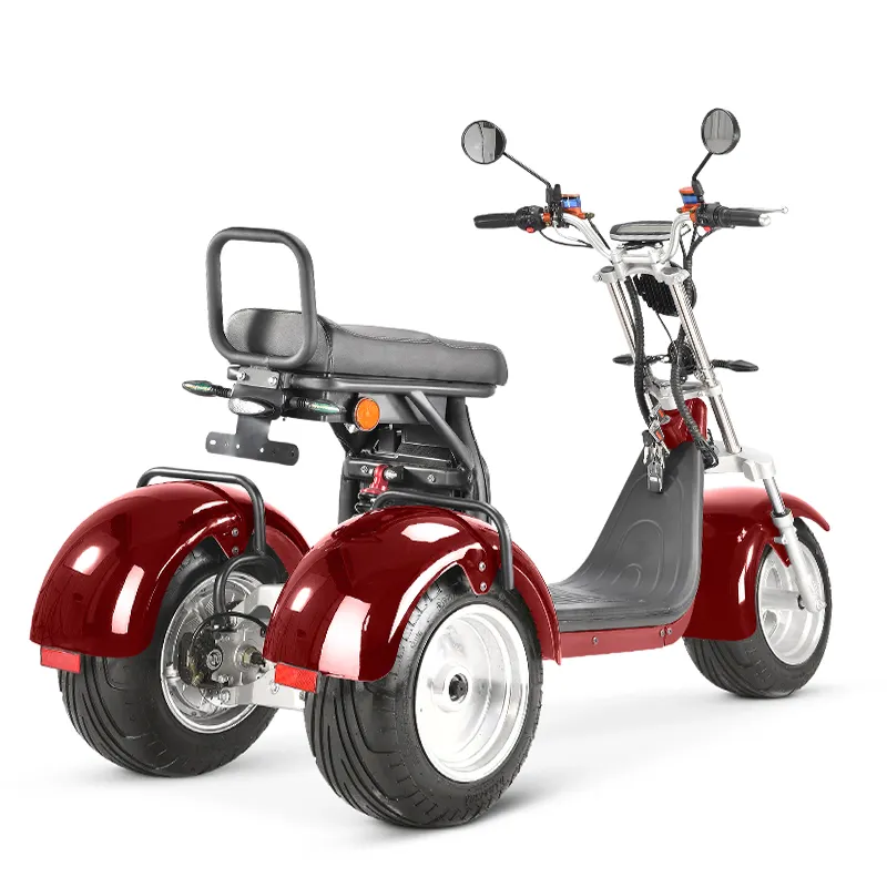 Chất Béo Lốp Dành Cho Người Lớn 3 Bánh Xe Ba Bánh Điện Hàng Hóa 3 Bánh Xe Điện Scooter Động Cơ Kép 2*2000W Kép Pin 20Ah/40AH