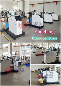 尾端纸板稳定器自动码垛机机器人堆垛机 - Product Image 6