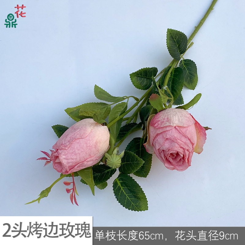 2-head roasted rose GY, light pink