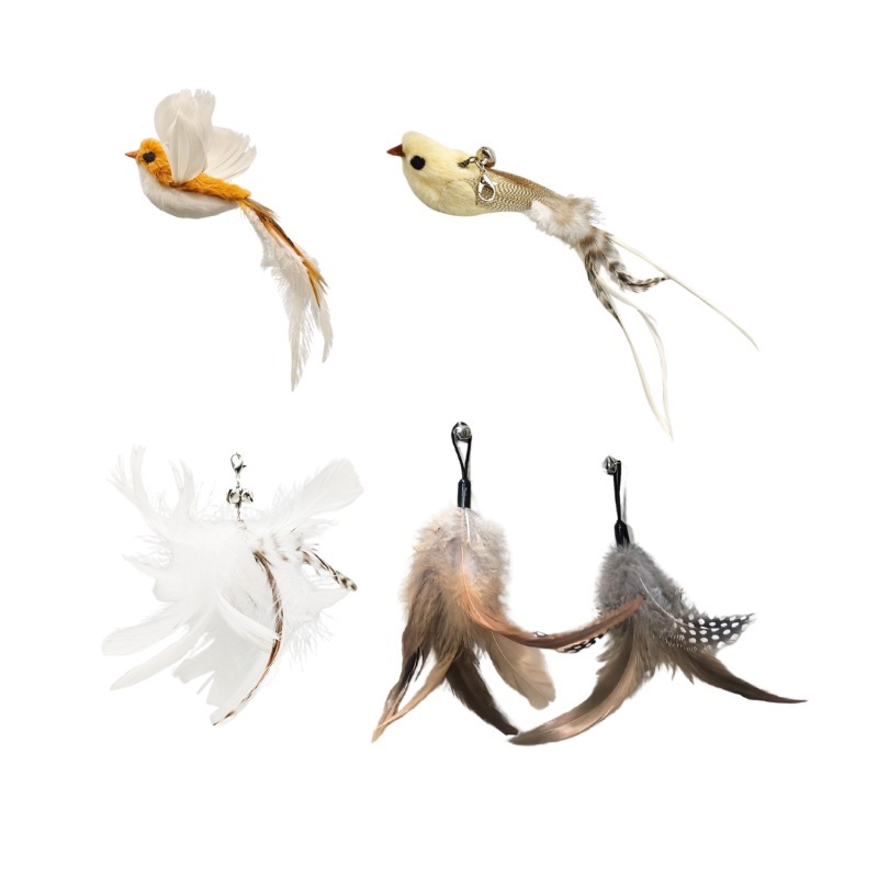 2 pájaros, 3 cabezas de plumas (juego de 5 piezas)