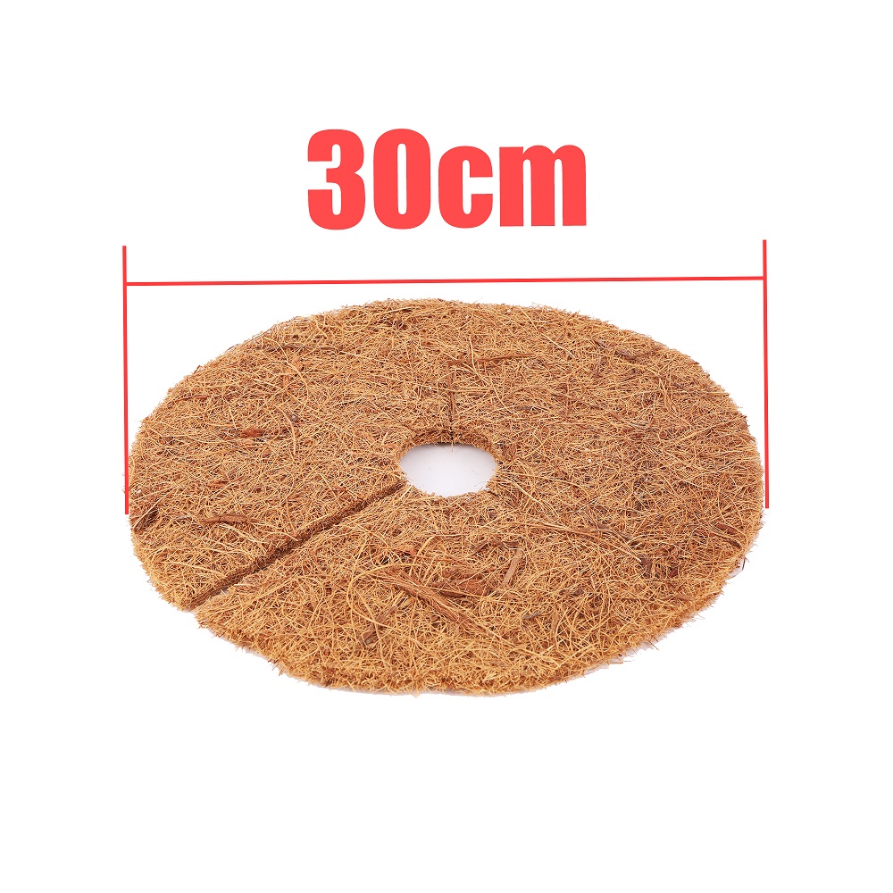 30 cm(11.81in)