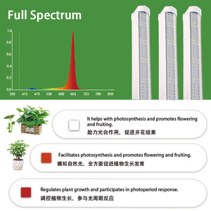 IP66 per il controllo completo dello spettro di 4 piedi 120W sotto il baldacchino ha portato a crescere la luce piante mediche Indoor verticale agricoltura installazione veloce - Product Image 4