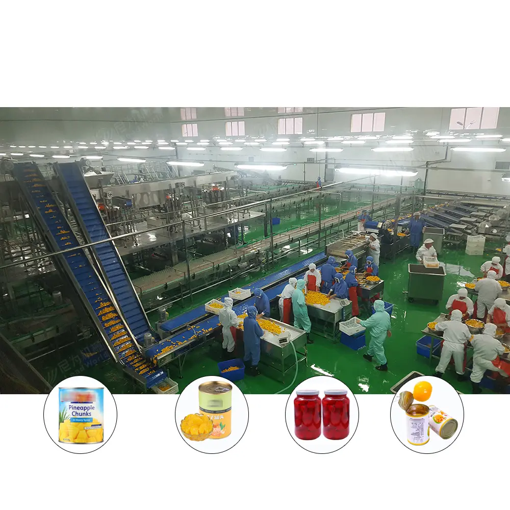 Machine de Production d'aliments en conserve, ensemble complet, pour fruits, ananas, Orange, manga, Litchi, Litchi, Litchi, Machine de Production
