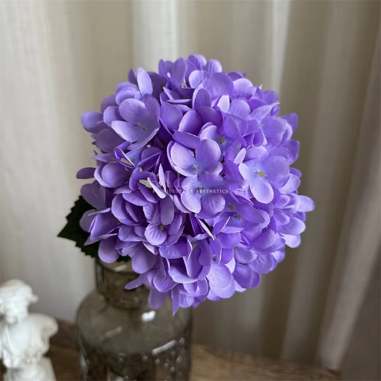 #6 violet foncé