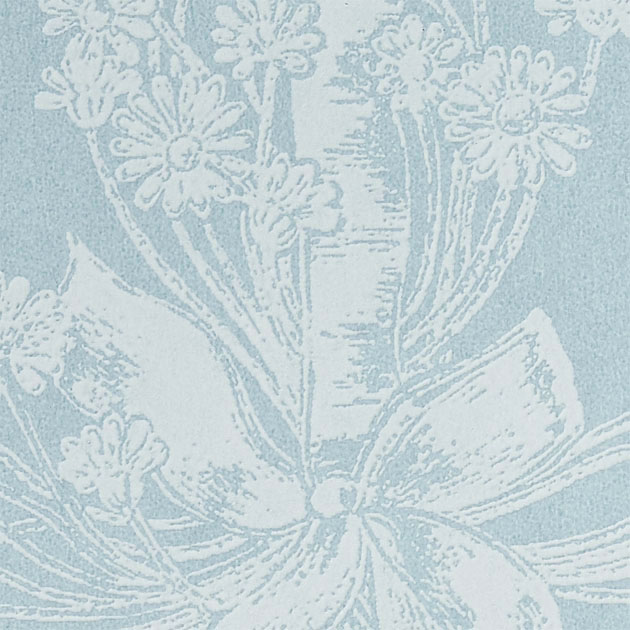 SGA2441 _ C01