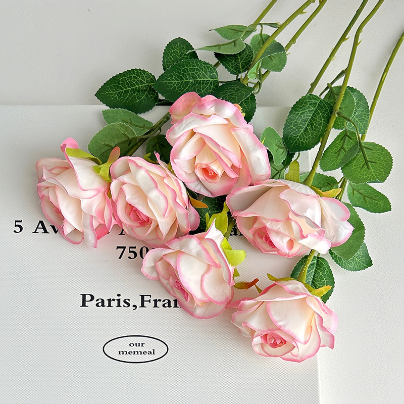 Gradiente rosa