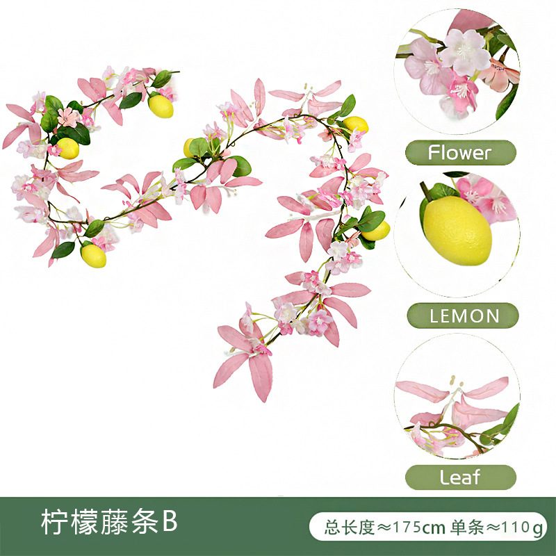 Canne à citron papillon de printemps B