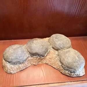 有趣的挖掘和发现恐龙化石蛋出售 - Product Image 1