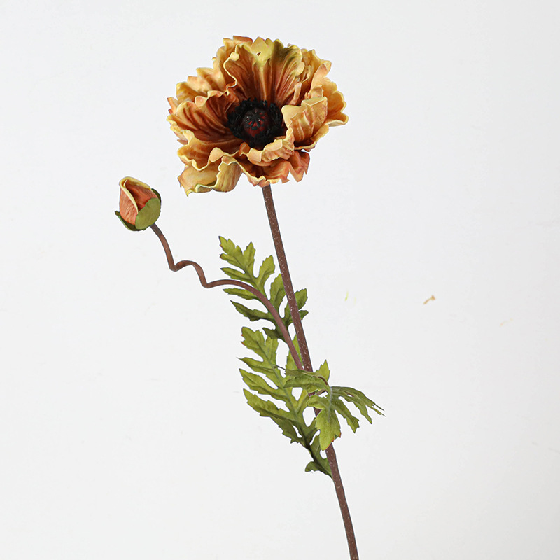 Pu une fleur un bourgeon gros coquelicot-couleur jaune d'automne