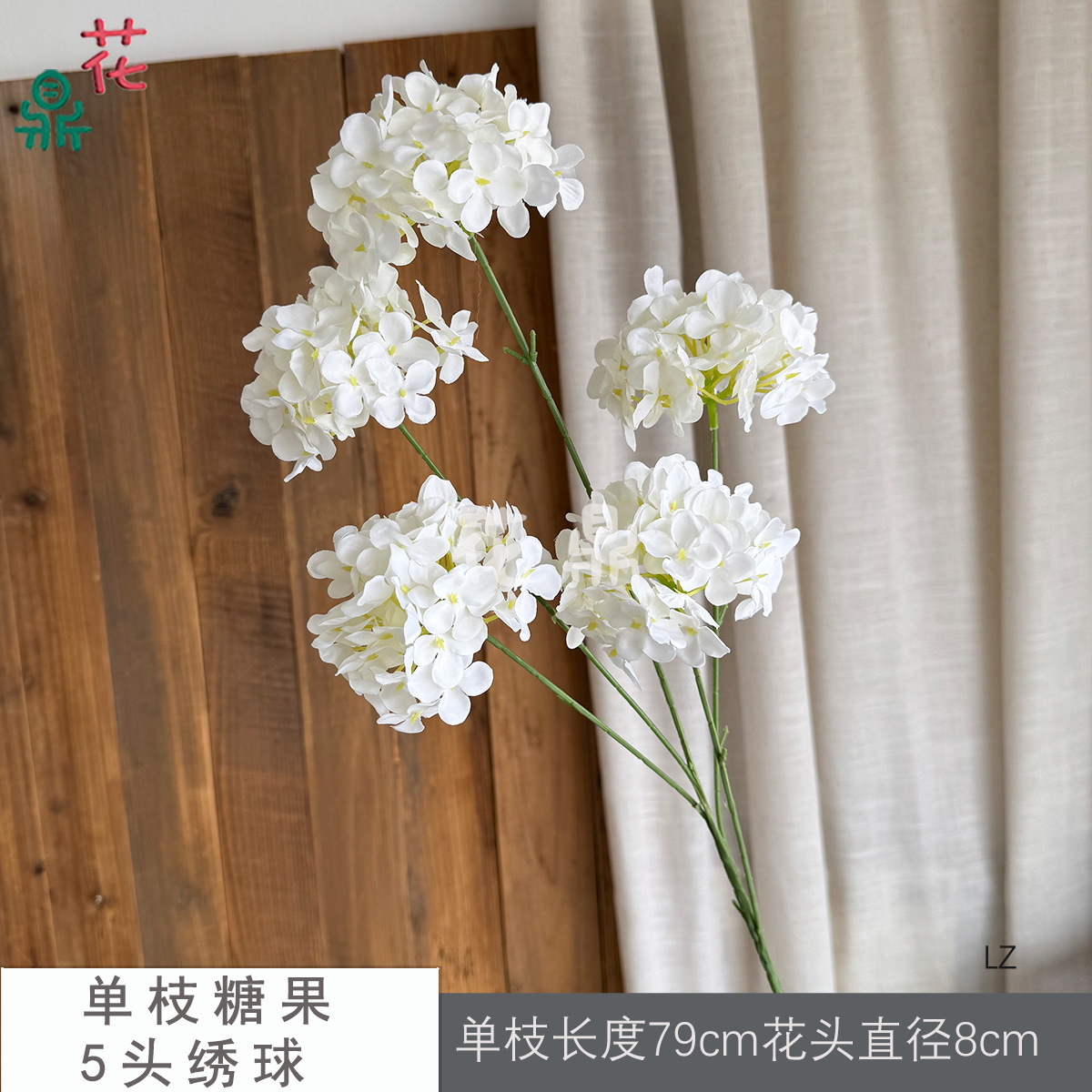 ลูกอมเดี่ยว, ไฮเดรนเยีย 5 ดอก, สีขาวนวล