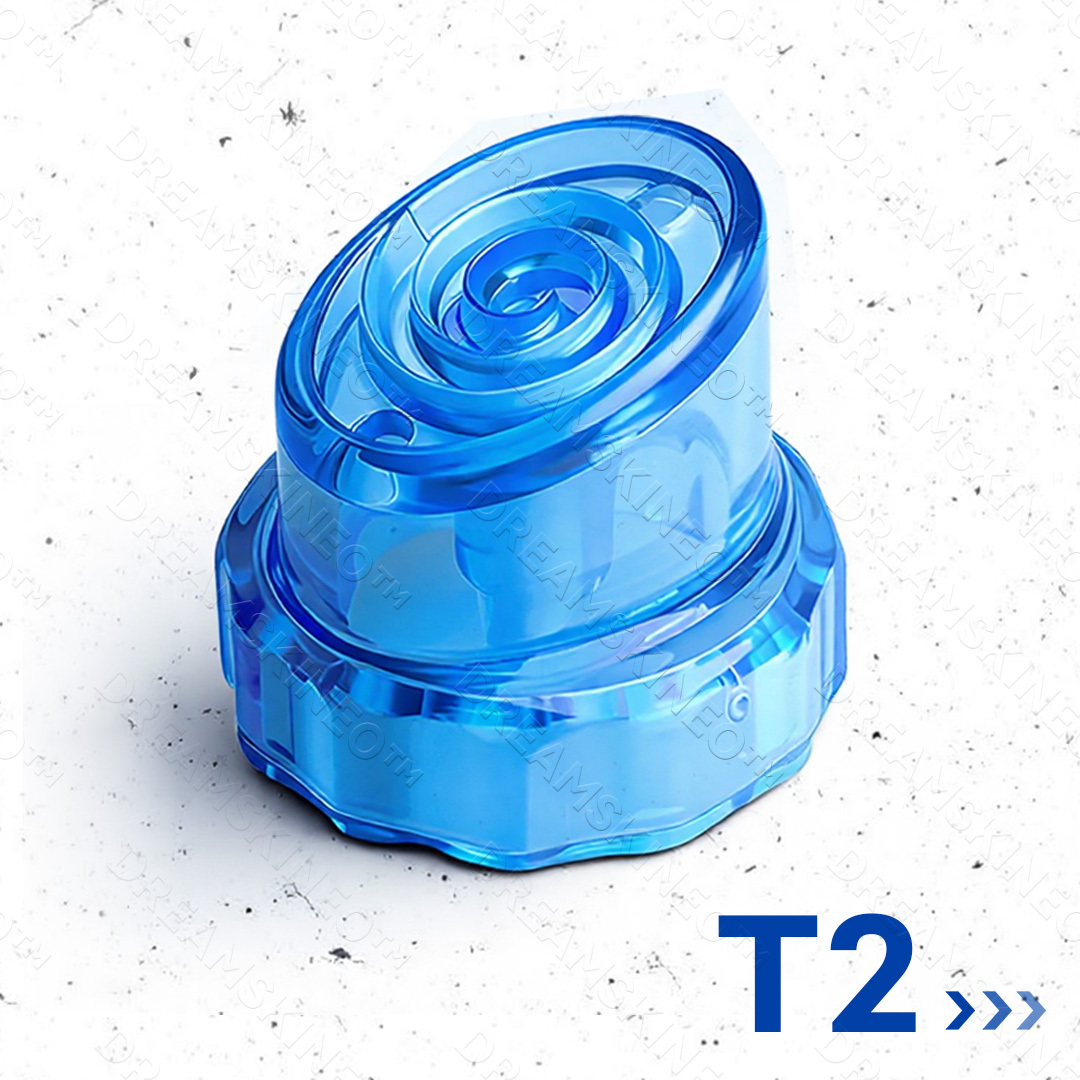 T2
