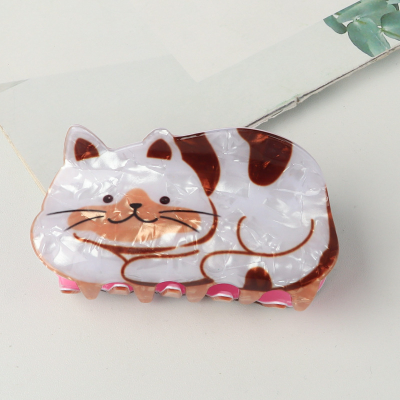 Gato Blanco Marrón