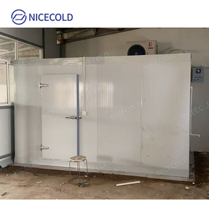 NICECOLD özelleştirilebilir soğuk oda depolama Walk-In soğutucu kutu 12X7X8 Blast dondurucu oda et depolama dondurucu - Product Image 1