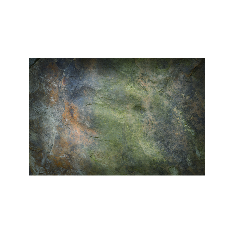 Color 7