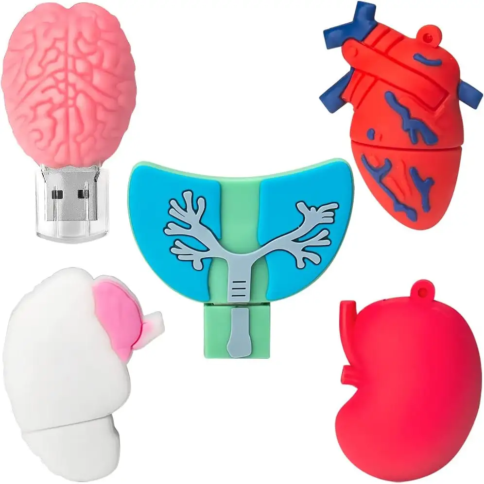 Gitra แฟลชไดรว์ทางการแพทย์ชนิด USB แฟลชไดรฟ์เมมโมรี่สติ๊กทำจากโลหะ2.0แฟลชไดรฟ์รูปหัวใจและไต
