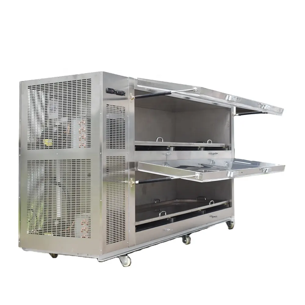 Réfrigérateur cuisine à froid, armoire de rangement à 2 tiroirs latéraux, réfrigérateur morganier, congélateur pour le corps
