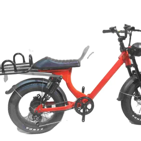 Di alta qualità nuova auto doppia batteria elettrica montagna grasso pneumatico 1000w e bici noi magazzino e-bike tricicli elettrici