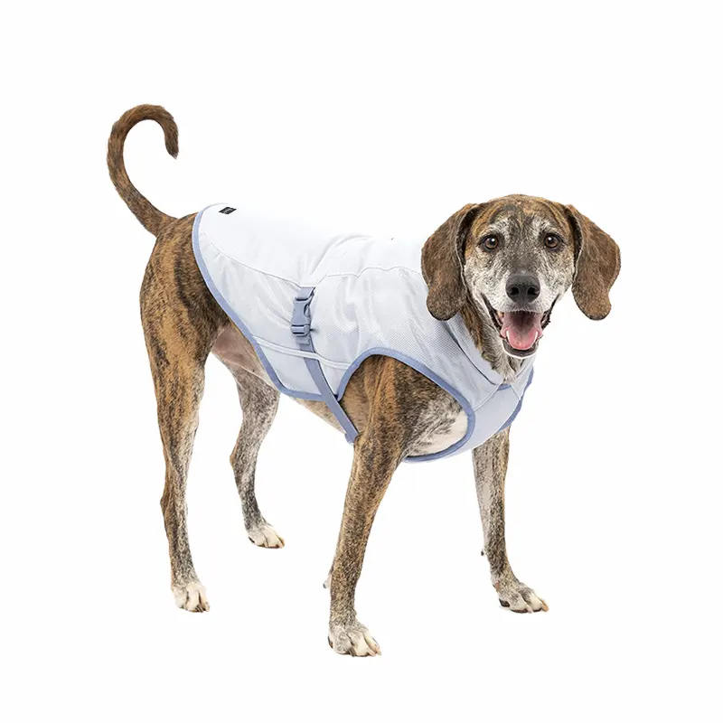 Di lusso regolabile evaporazione maglia traspirante riflettente di raffreddamento cane sportivo calmante gilet di raffreddamento del ghiaccio imbracatura giacca di raffreddamento