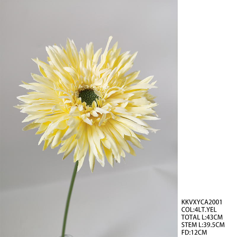 KKVXYCA2001_4LT.GIALLO