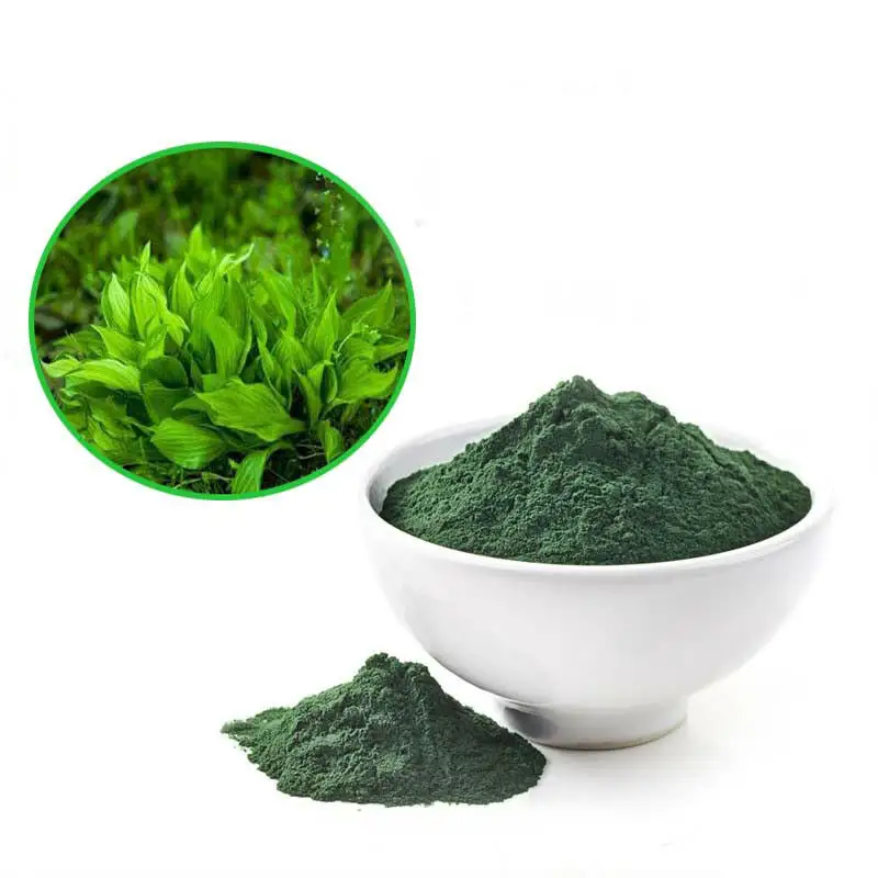 Il produttore ISO fornisce Spirulina biologica, spirulina viva verde 60% di proteine