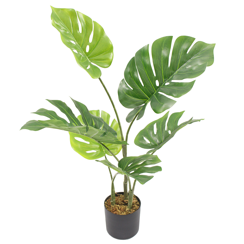 Green-75cm