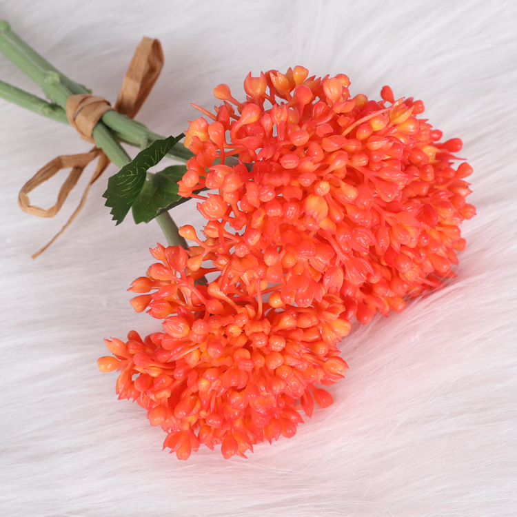Wind letter fruit orange
