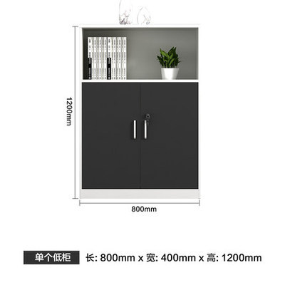 Single low cabinet